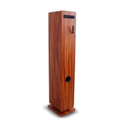 Inovalley Woodtower Bluetooth Högtalare - Brun