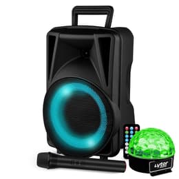 Festisound Karaoké avec USB SD Bluetooth TWS - Micro sans fil PA högtalare